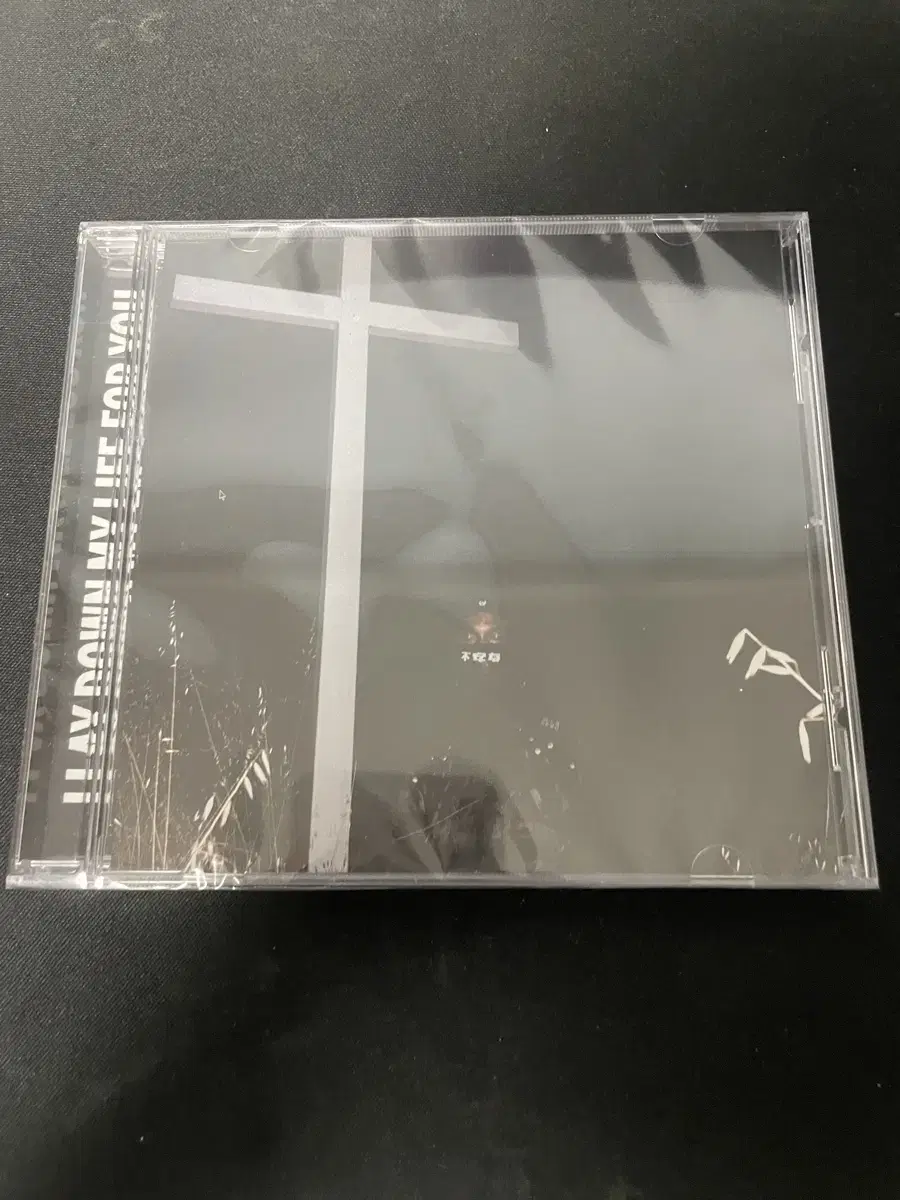 JPEGMAFIA I LAY DOWN MY LIFE FOR YOU cd